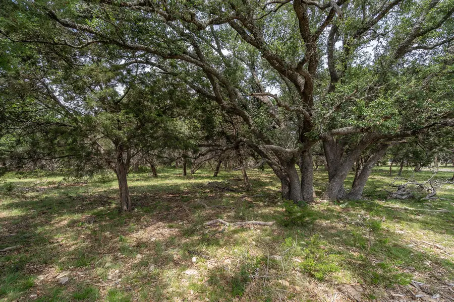 000 W St Hwy 29, Bertram, TX 78605 - #3