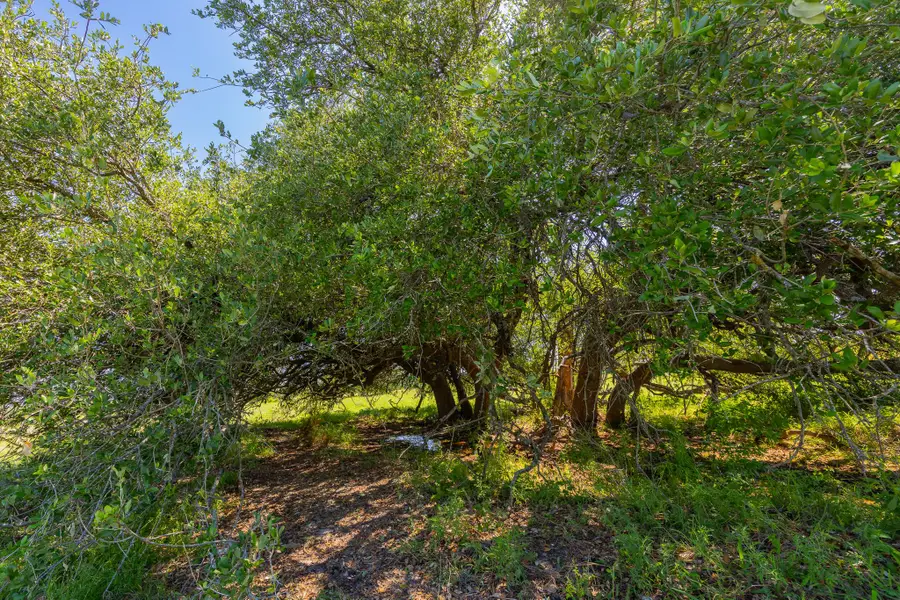 TBD County Road 180 Mesquite Hollow Ranch Rd, Purmela, TX 76566 - #2