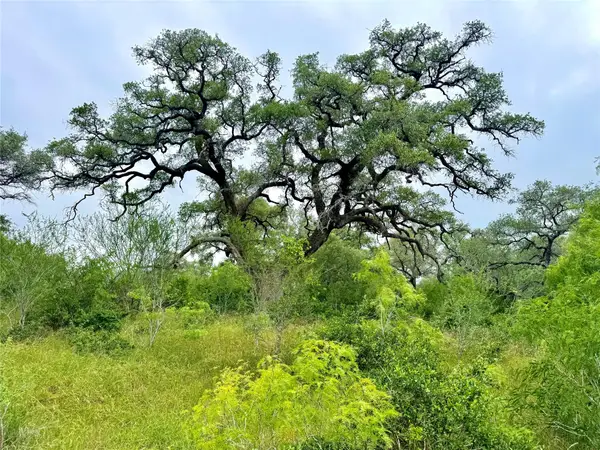 TBD Tract Q Fm 108, Smiley, TX 78159