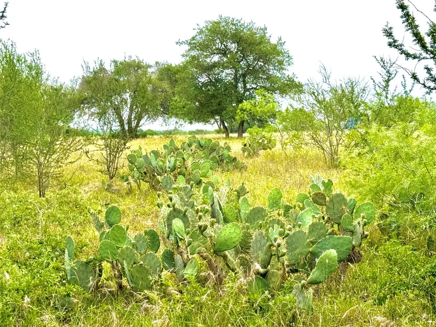 TBD Tract Q Fm 108, Smiley, TX 78159 - #2