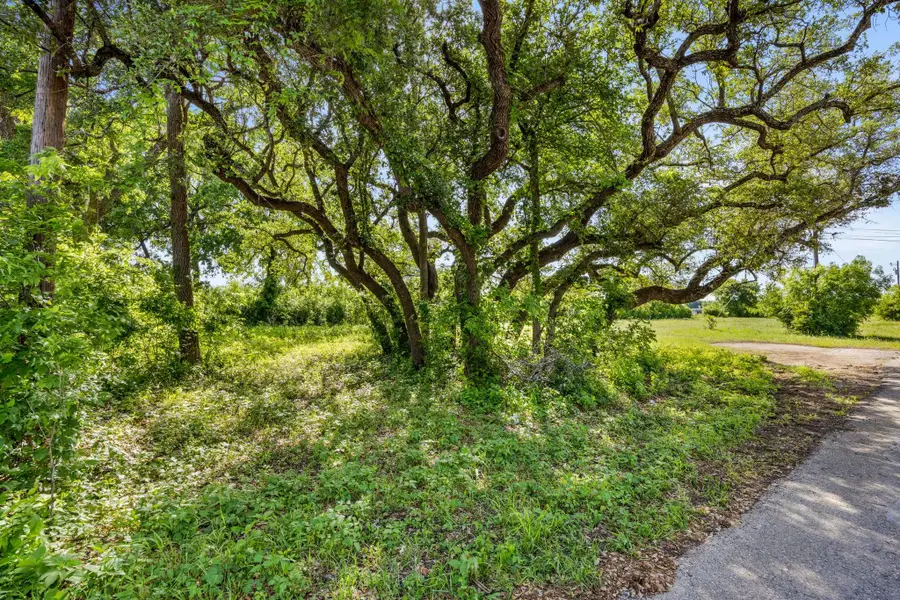 2704 Poplar Ln, Cedar Park, TX 78613 - #3