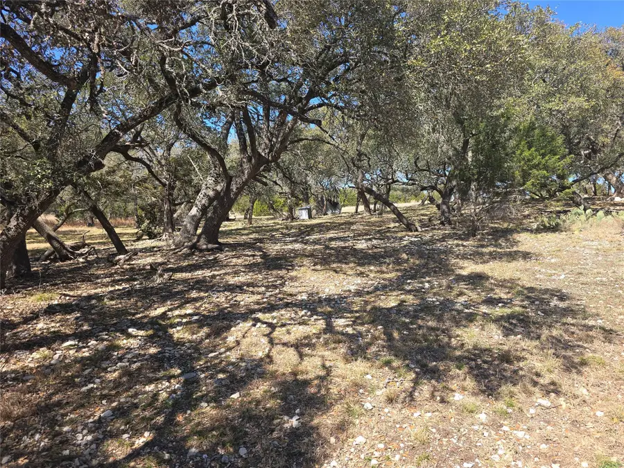 230 Bush Bok Dr, Burnet, TX 78611 - #3