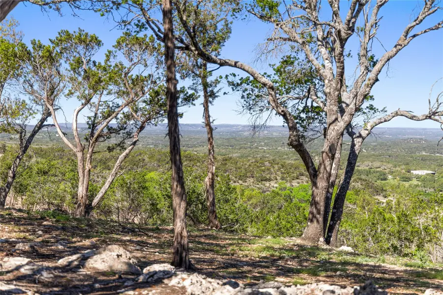 3300 Fm 165 - Lot 21, Dripping Springs, TX 78620 - #2