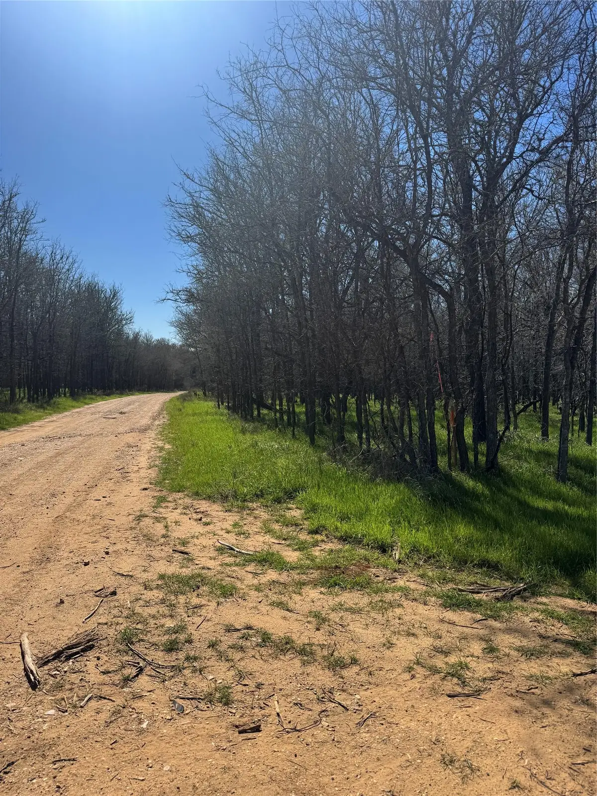 Lots 499 and 500 Kaaawa Ln, Bastrop, TX 78602 - #1