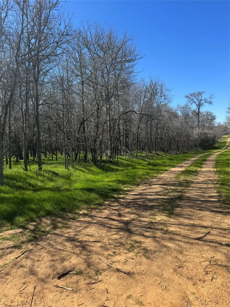 Lots 499 and 500 Kaaawa Ln, Bastrop, TX 78602 - #2