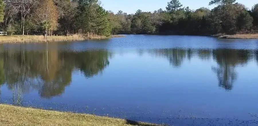 26642 Red Oak Dr, Hempstead, TX 77445 - #2