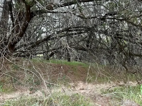 21402 Highland Lake Dr, Lago Vista, TX 78645