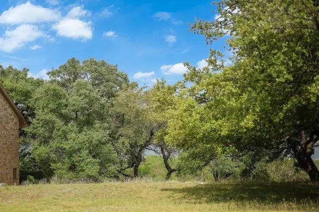 00 Wesley Ridge Dr, Spicewood, TX 78669 - #3