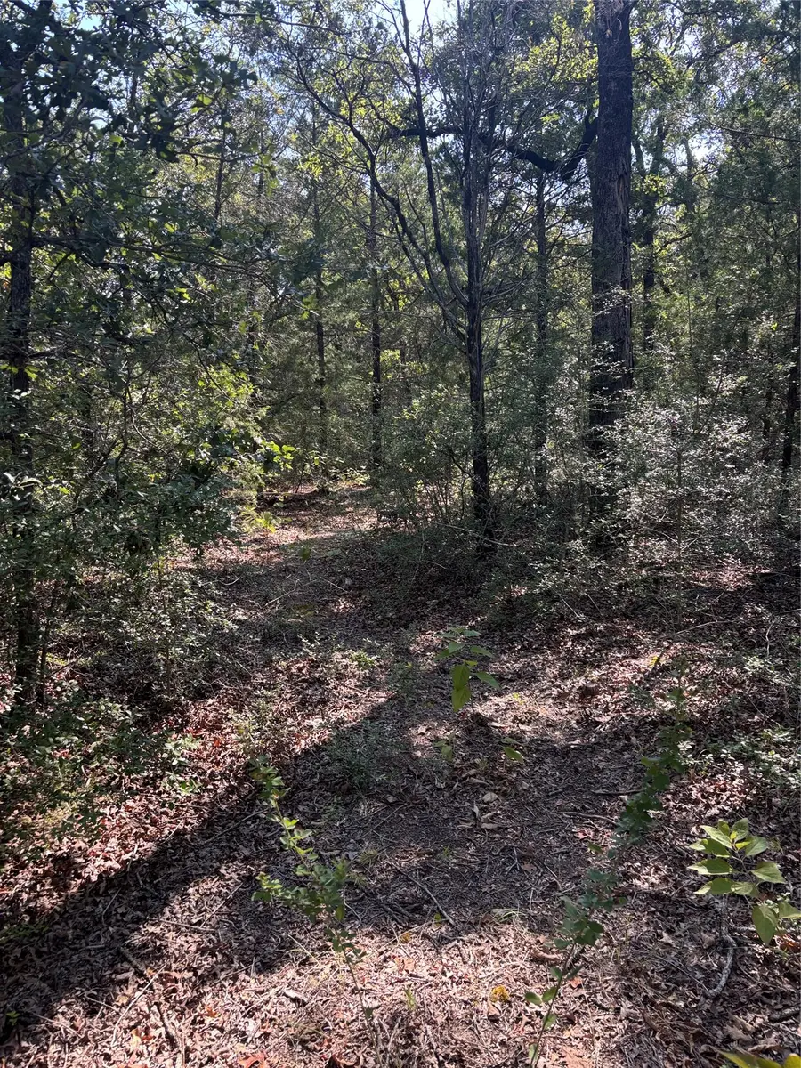 667 Paint Creek South Rd, Paige, TX 78659 - #2