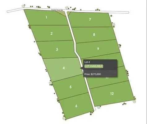 1115 Tract 4 - County Road 204 Rd, Burnet, TX 78611 - #3