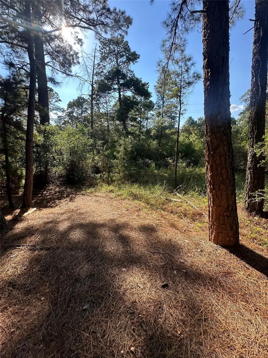 0 Pine Oak Dr, Bastrop, TX 78602 - #2