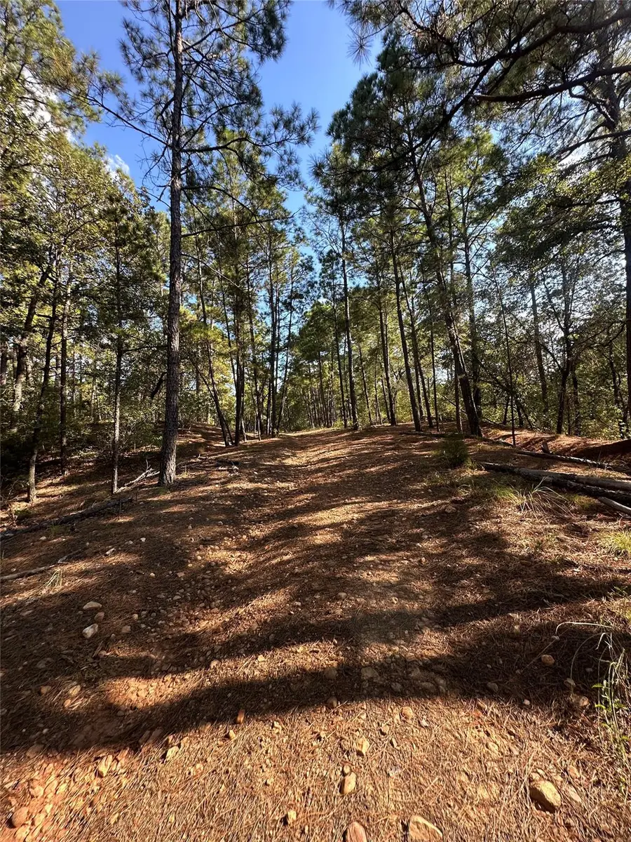 0 Pine Oak Dr, Bastrop, TX 78602 - #3