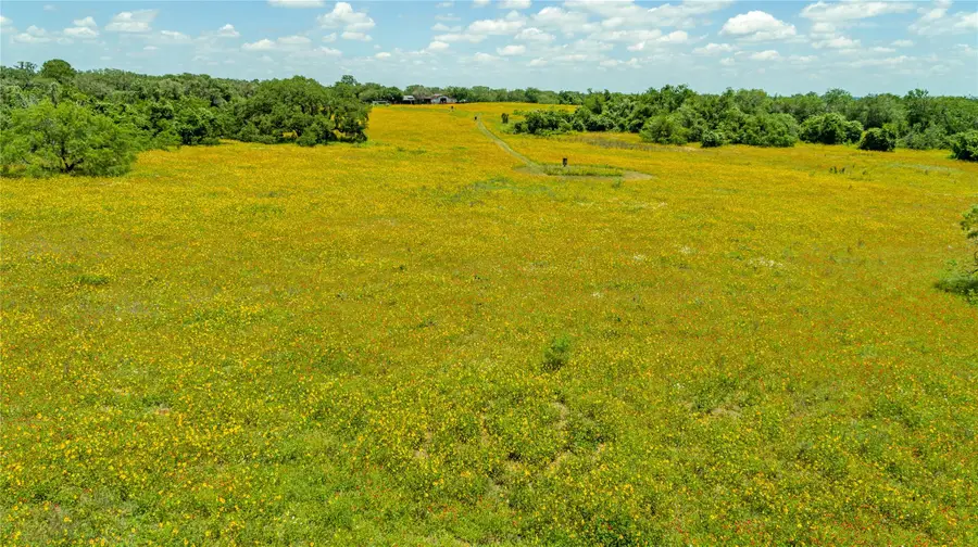 9393 Us Highway 87 E, Smiley, TX 77994 - #3