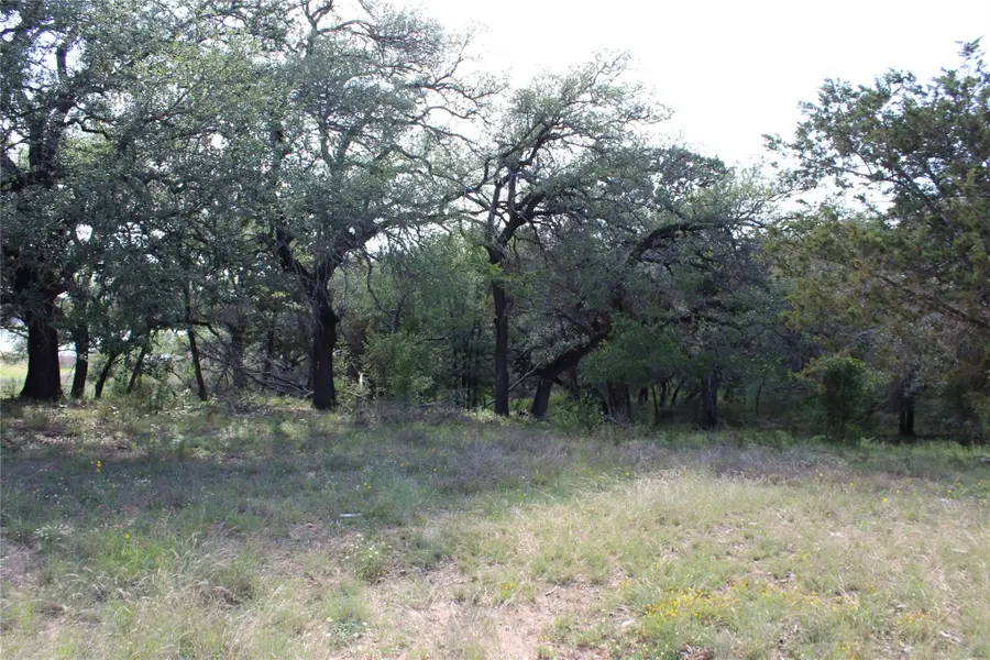 6710 Bar K Clubhouse Ct, Lago Vista, TX 78645 - #3