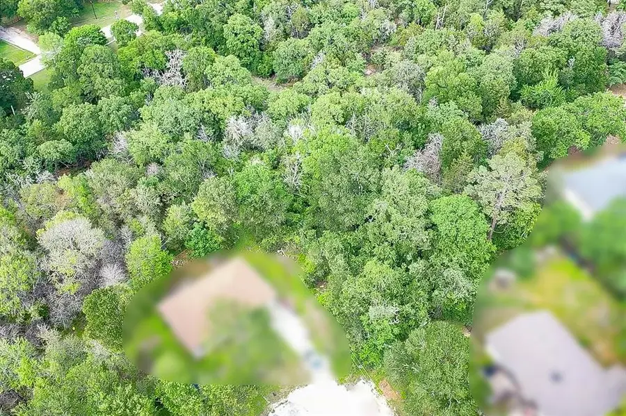 111 Nuupia Ct, Bastrop, TX 78602 - #3