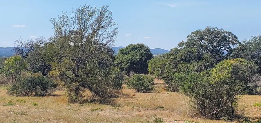 Tract 6 Lehne Loop, Buchanan Dam, TX 78609 - Image #3