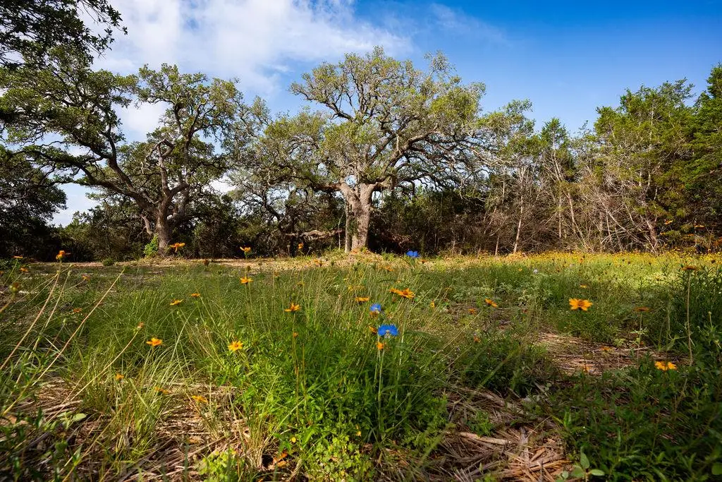 TBD Gatlin Creek Rd, Dripping Springs, TX 78620 - #1