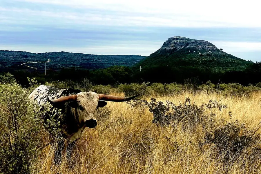 00 Hwy 55 Lot 1,19, Uvalde, TX 78801 - #3