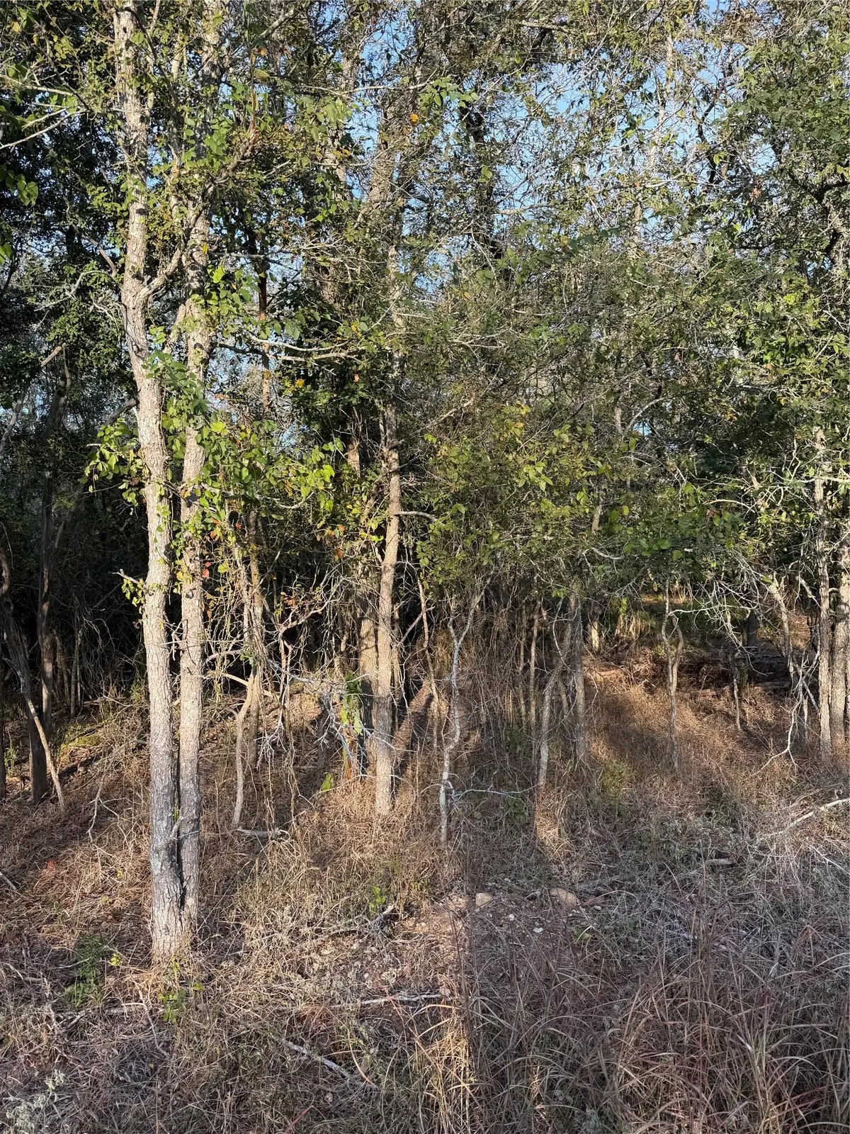 172 Helemano Dr, Bastrop, TX 78602 - #1