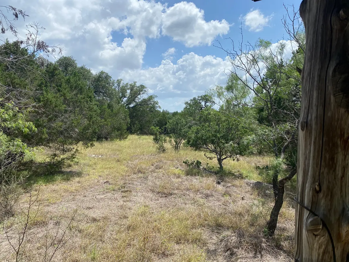 Lot 31 Pedernales Oaks Rd Rd, Johnson City, TX 78636 - #1