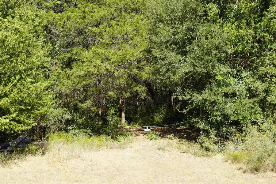 1135 Private Road 7039, Lexington, TX 78947 - #3