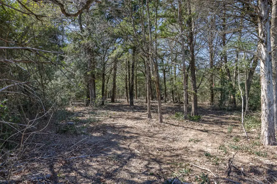 Lot 2 (4.81 Acres) Pauline Ln, Caldwell, TX 77836 - #2