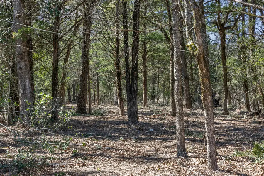 Lot 2 (4.81 Acres) Pauline Ln, Caldwell, TX 77836 - #3