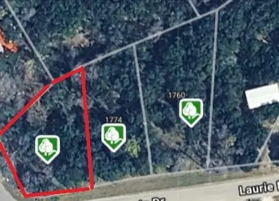 616 Kathleen Dr, Canyon Lake, TX 78133 - #1