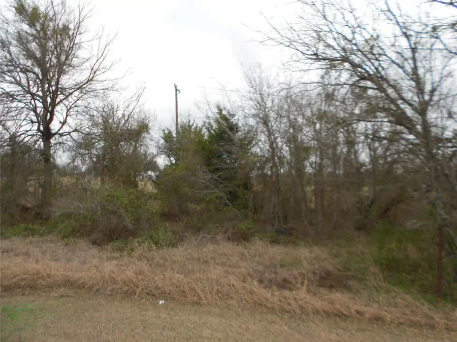 6612 Williamson Rd, Creedmoor, TX 78610 - #3