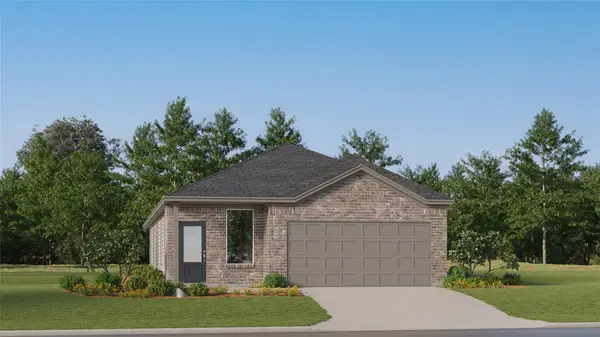 23725 Misted Grass Dr, Elgin, TX 78621