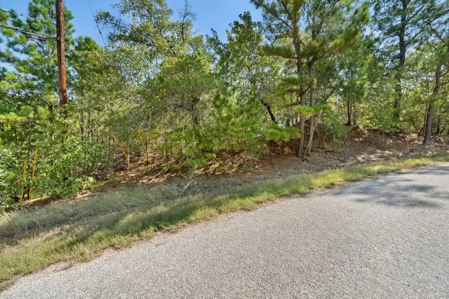 TBD 847 Mamalu Dr, Bastrop, TX 78602 - Image #3