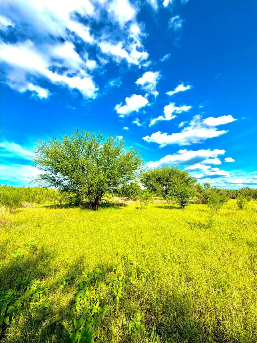 TBD Tract H County Road 512, D Hanis, TX 78850 - #3