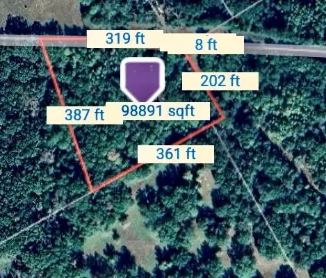 TBD County Road 301 Tract 7 Rd, Butler, TX 75855 - Image #2