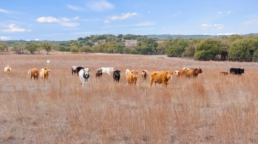 0 Clearwater Grotto, Wimberley, TX 78676 - #2