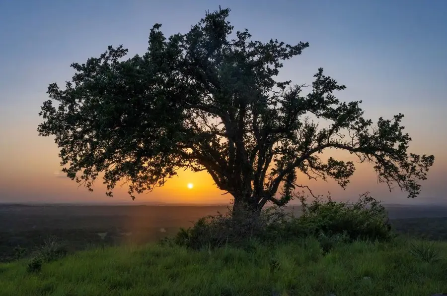 Lot 36 - 6.65 Acres - Round Mountain Reserve Dr, Round Mountain, TX 78663 - Image #3