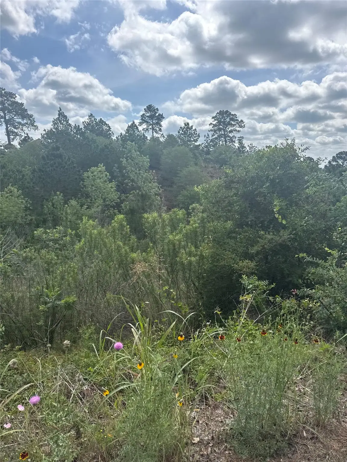 Lot 798 Tahitian Dr, Bastrop, TX 78602 - #1