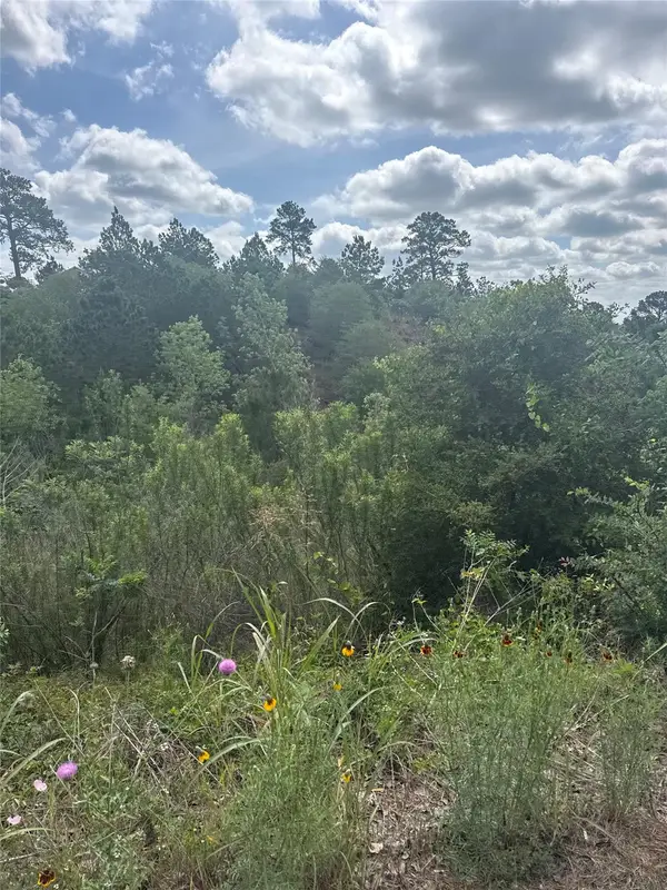 Lot 798 Tahitian Dr, Bastrop, TX 78602