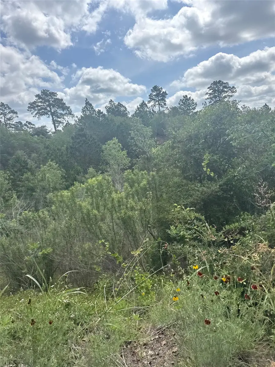 Lot 798 Tahitian Dr, Bastrop, TX 78602 - #2