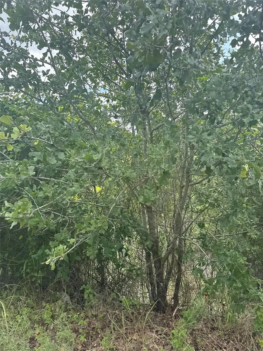 Lot 798 Tahitian Dr, Bastrop, TX 78602 - #3