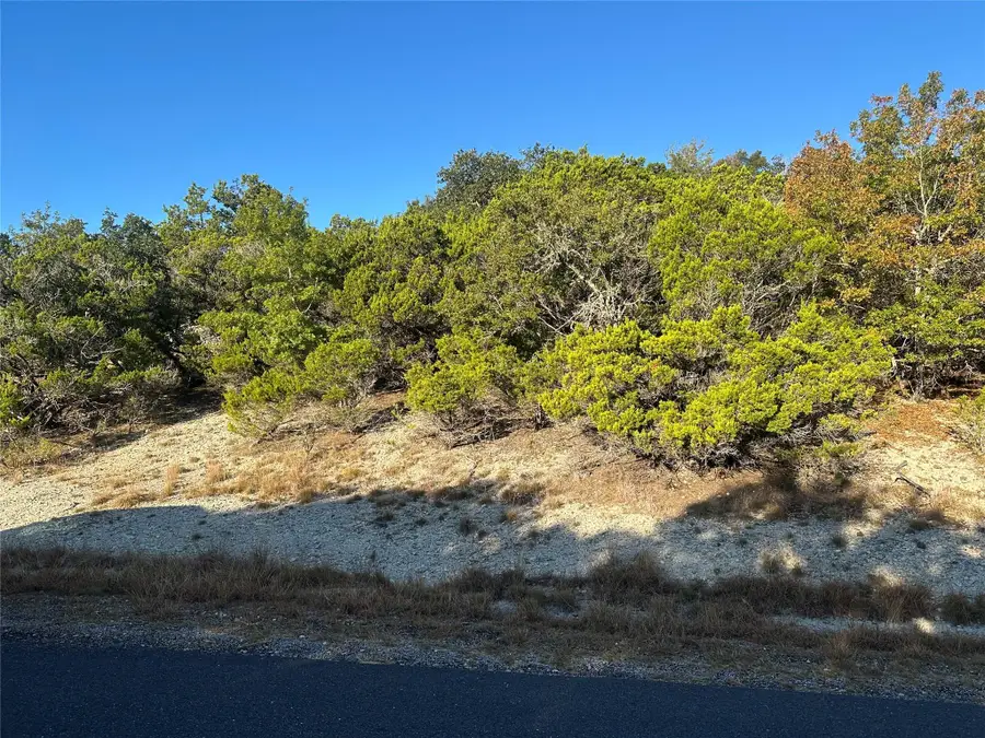 7397 Amber Rene Dr, Belton, TX 76513 - #2