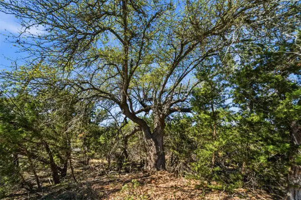 000 Hidden Hills Dr, Dripping Springs, TX 78620