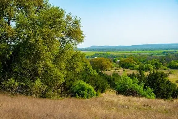 203 Rheingold School Rd, Fredericksburg, TX 78624 - #3