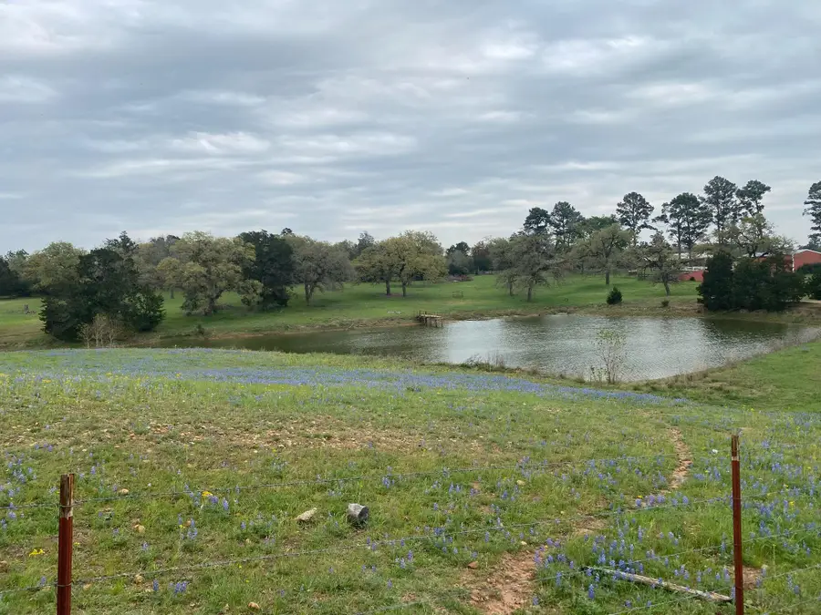 139 Way Station Trl, Smithville, TX 78957 - #2