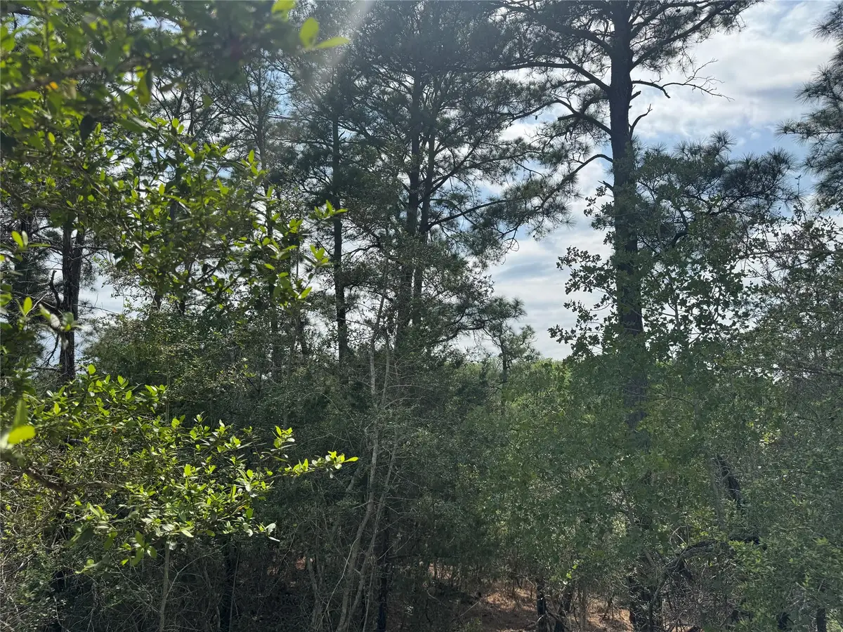 Lot 1263 Hanauma Dr, Bastrop, TX 78602 - #1