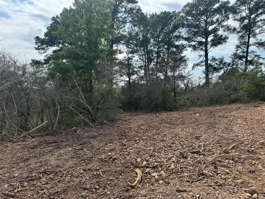 Lot 1263 Hanauma Dr, Bastrop, TX 78602 - #3