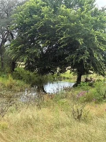 TBD County Road 200, Burnet, TX 78611 - #3