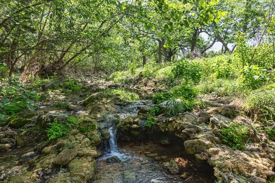 127 El Nopal Dr, Blanco, TX 78606 - #2