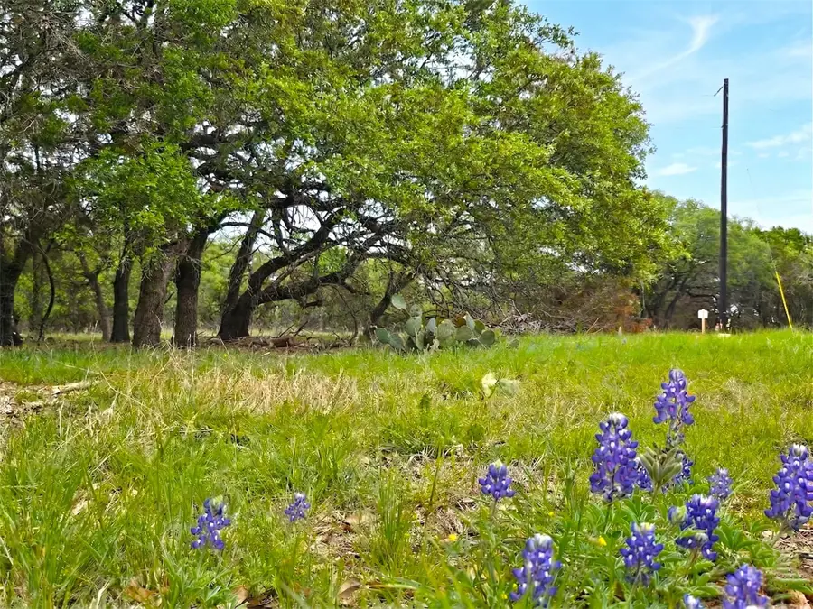 000 Cr 206, Lampasas, TX 76550 - #2