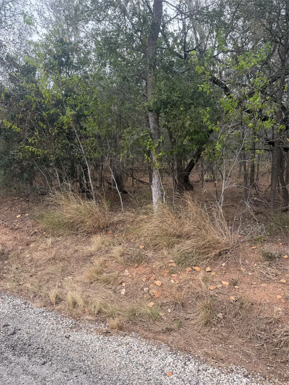 Lots 298, 300 and 54 Riverside And Kahana Dr, Bastrop, TX 78602 - #1