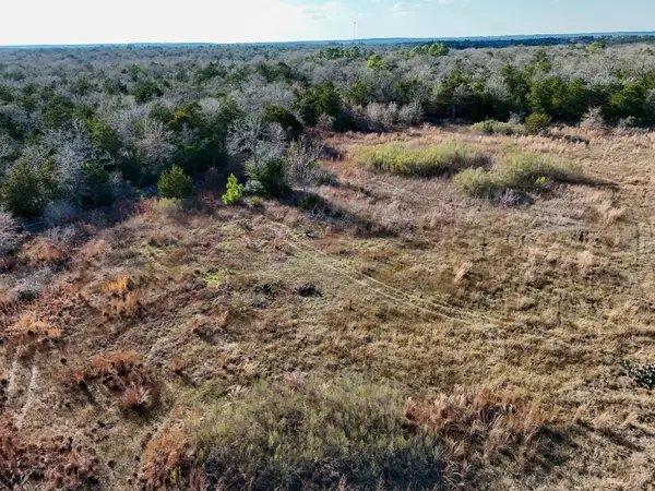 Lot 14 Antioch Rd, Paige, TX 78659